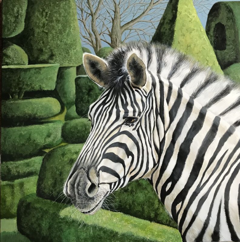 Zebra in Garden